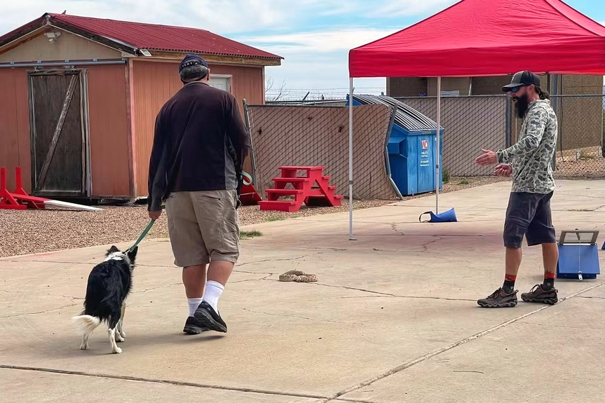 Leave it: Dog trainers help pets avoid venomous snakes